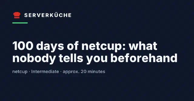 100 days of netcup: what nobody tells you beforehand