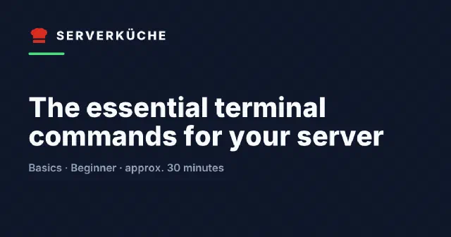 The essential terminal commands for your server