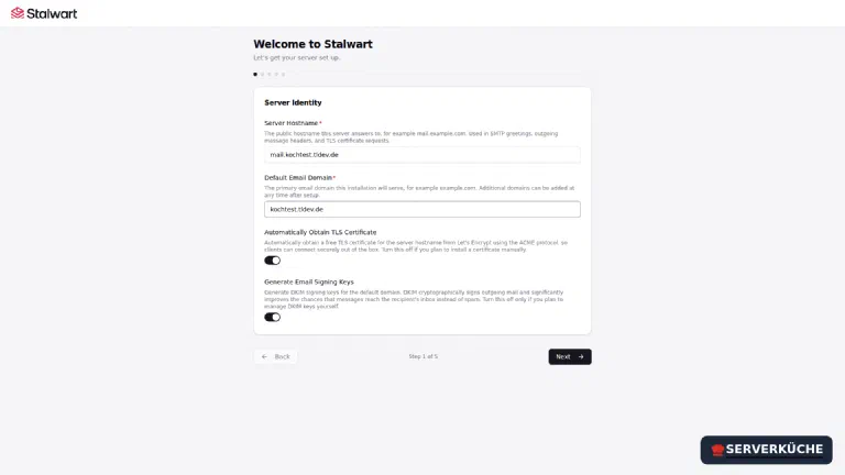 The Stalwart initial setup wizard with the fields for server hostname and default domain.