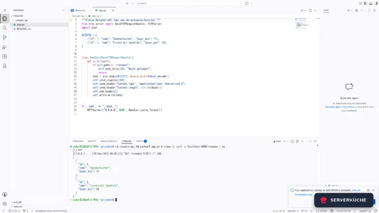 Bearbeiten, starten, abrufen – alles in einem Browserfenster Das integrierte Terminal in code-server: ein gestarteter Python-Server, ein curl-Aufruf und die formatierte JSON-Antwort.