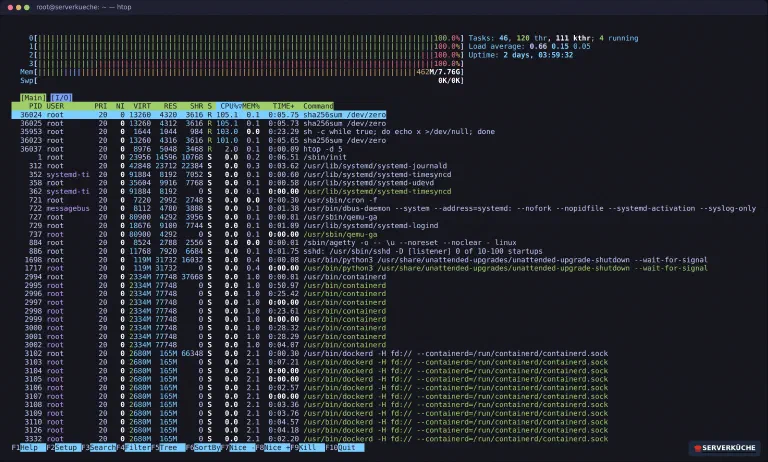 Das htop-Dashboard mit farbigen CPU- und Speicher-Balken und der Prozessliste