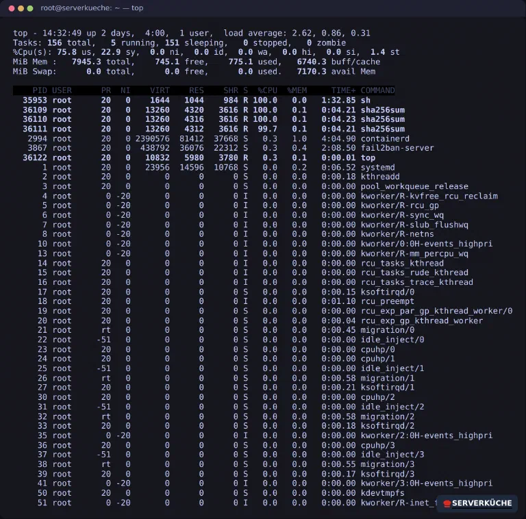 Die top-Ausgabe mit CPU-Zustandszeile, Speicherzeile und der nach CPU-Last sortierten Prozessliste